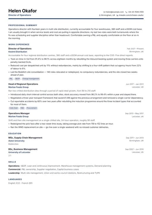 Business Professional CV template preview — a corporate résumé layout